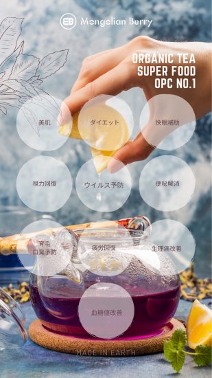 純モンゴリアンベリー(30パックセット×3箱セット)